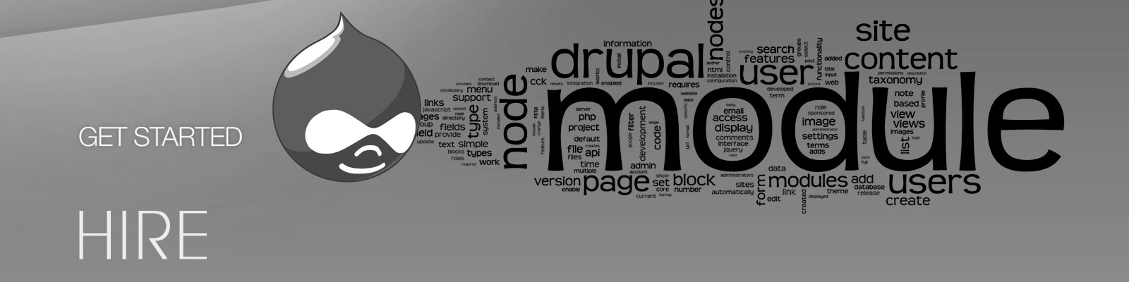 hire drupal application developer